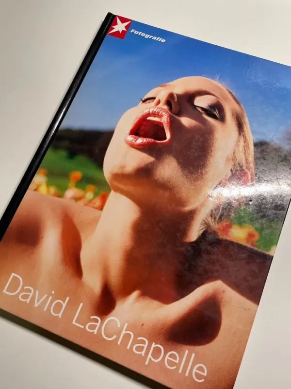 Книга Stern Fotografie David LaChapelle