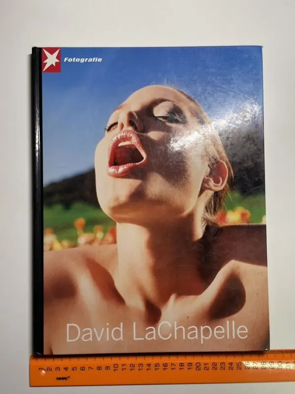 Книга Stern Fotografie David LaChapelle, фото 3 из 10
